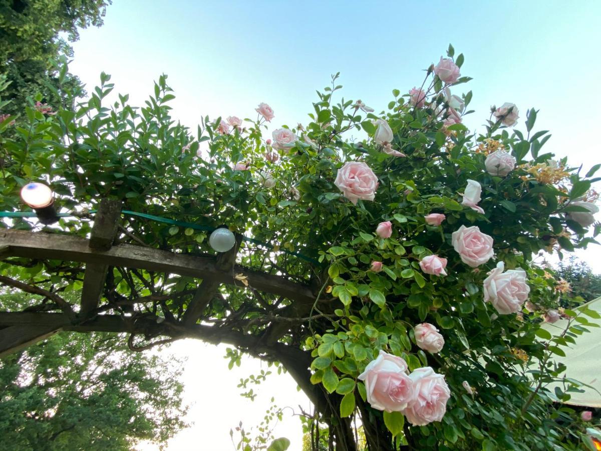 B & B Simme Zimme Brasschaat Bagian luar foto